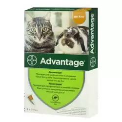 Краплі Адвантейдж 40 для котів до 4 кг (Bayer)