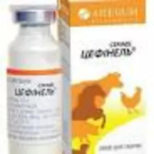 Корневая группа Корневая группа