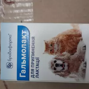 Насіння овочів, трав, рослин Насіння овочів, трав, рослин